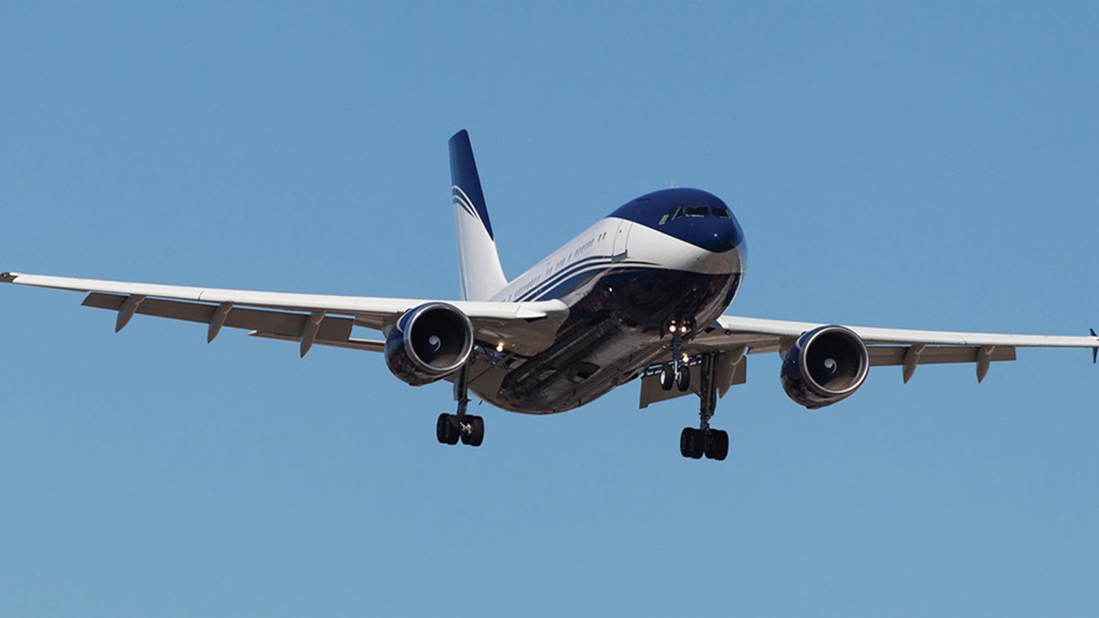 航空機・ヘリコプター PANAMAirbus A310-300 航空機・ヘリコプター
