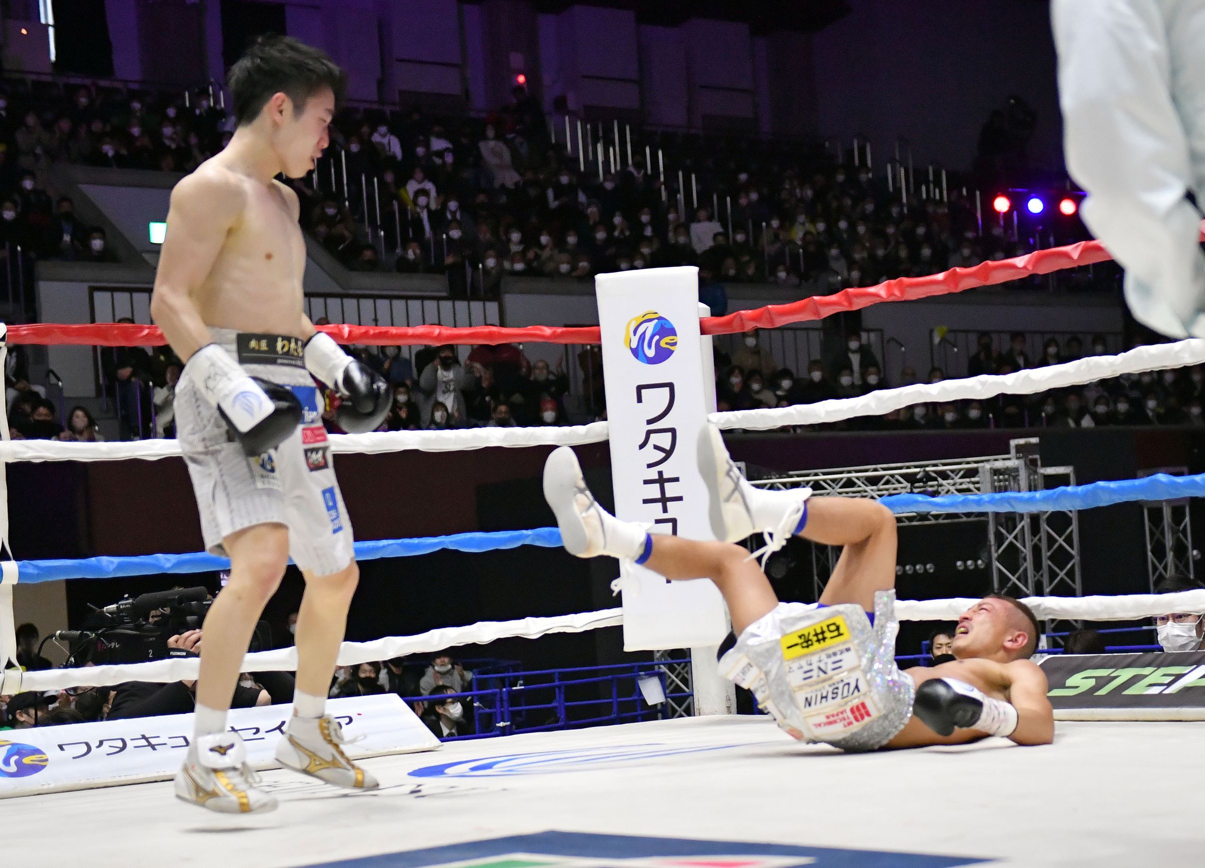ボクシング】寺地拳四朗が王座奪冠！ 矢吹正道を右一撃で3回KO