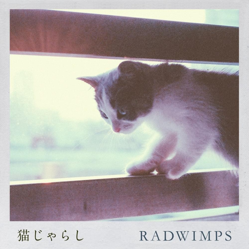 RADWIMPS – 猫じゃらし (Nekojarashi) Lyrics | Genius Lyrics