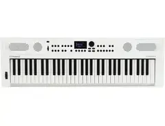 Roland GO:KEYS 5 Keyboard - What To Know & Where To Buy | Equipboard