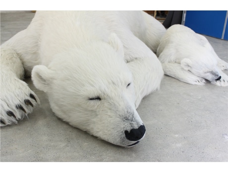 狛江で1340万円の超リアル「シロクマ親子」 動物保護も訴え、発売1カ月