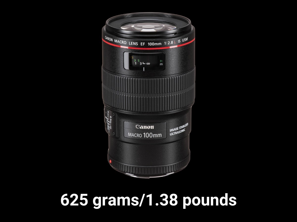 Canon EF 100mm f/2.8L IS Macro Lens Review