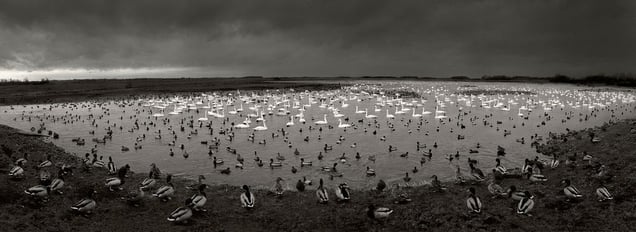 Here Far Away - LensCulture