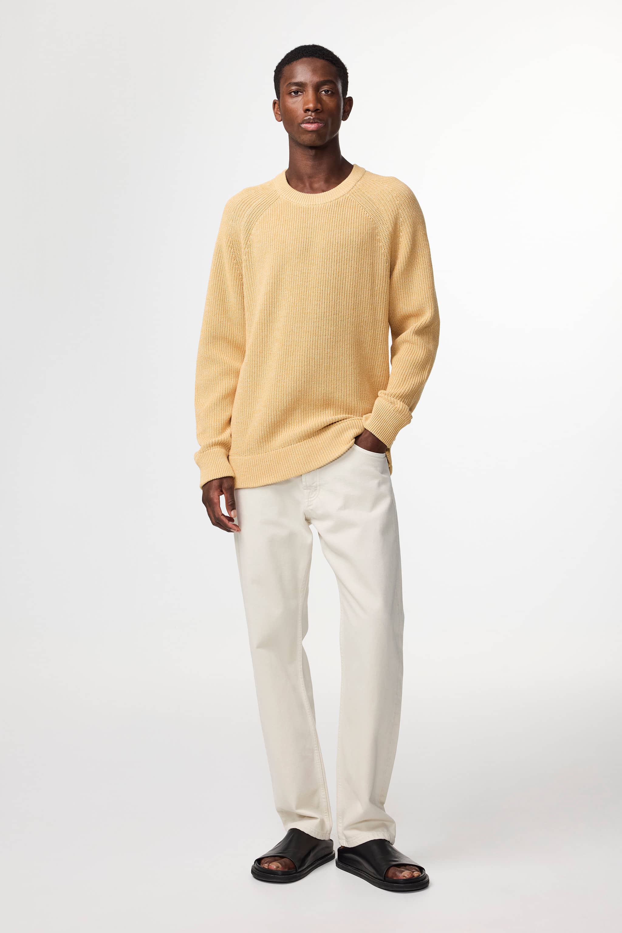 Jacobo 6470 men's sweater - Honey - Buy online at NN.07®