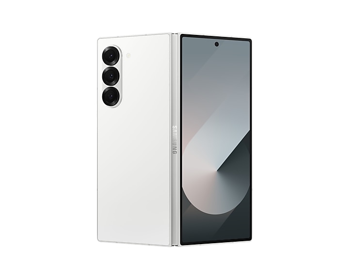 Business | Galaxy Z Fold6 (Special Edition) | SM-F956BZWGINS