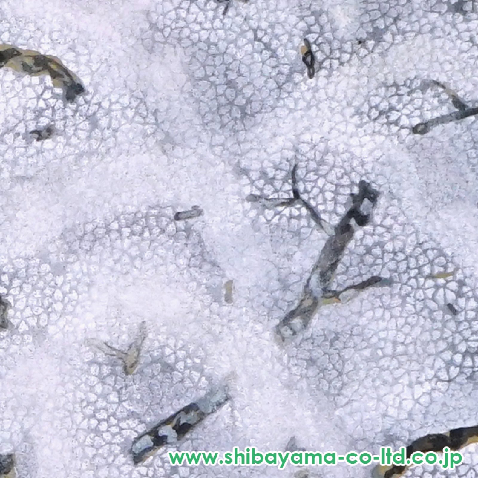 加山又造「夜桜」木版画 :: 絵画買取・販売 - シバヤマ