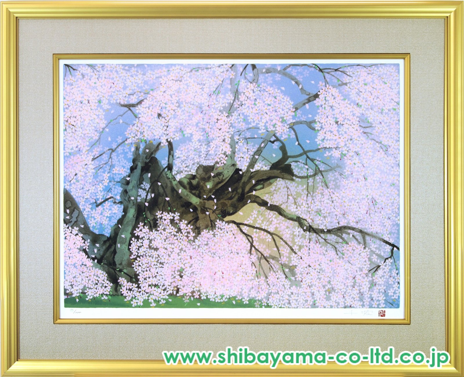 桜の絵 中島 千波さん版画 263/280 桜の絵 中島 千波さん版画 263/280