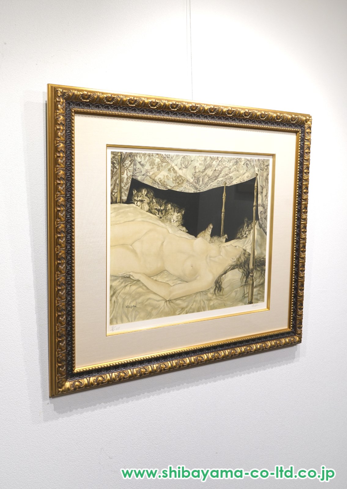 9169_4fa52e662d499c8a6dad044ae