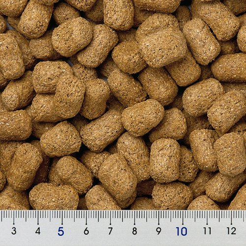 Mazuri トータスダイエット 560g 5M21-S | チャーム