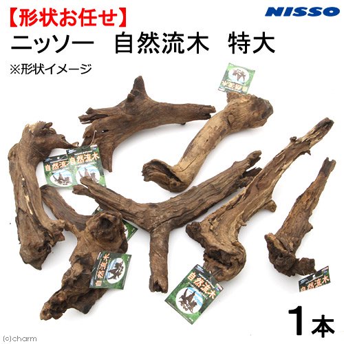 形状お任せ 自然流木 特大(約30~50cm) 1本 アクアリウム 水槽 | チャーム