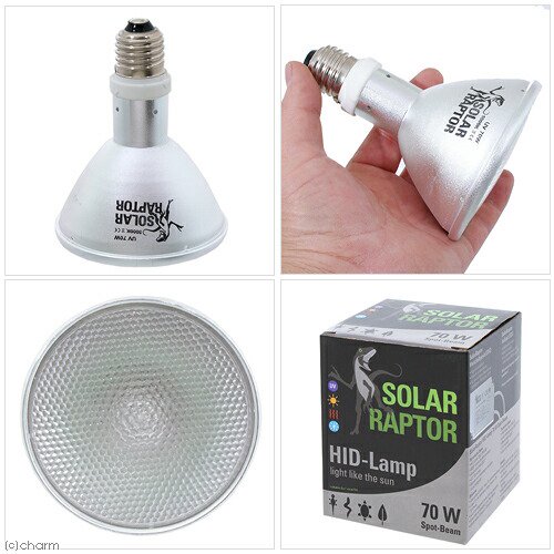 ゼンスイ ソーラーラプター HIDランプ 70W 交換球 爬虫類 ライト