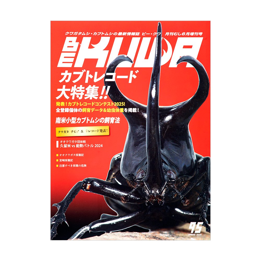 ビークワ BE-KUWA 95 (2025) カブトレコード大特集 | チャーム