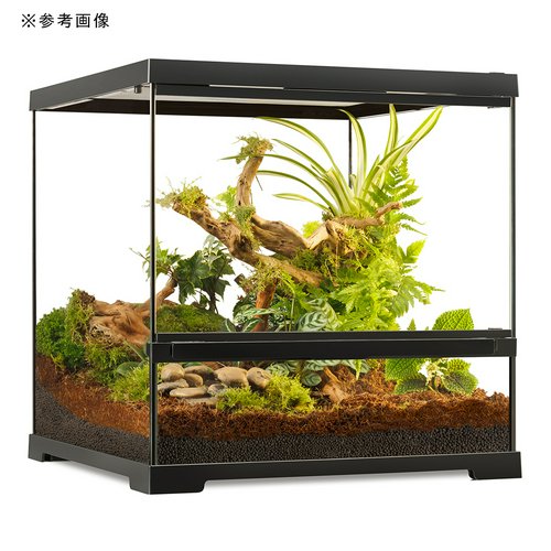 GEX エキゾテラ グラステラリウム PRO 4545 爬虫類 飼育 ケージ ガラス