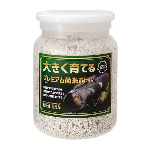 菌糸ビン MIKUプレミアム菌糸ボトル オオヒラタケ 800cc | チャーム