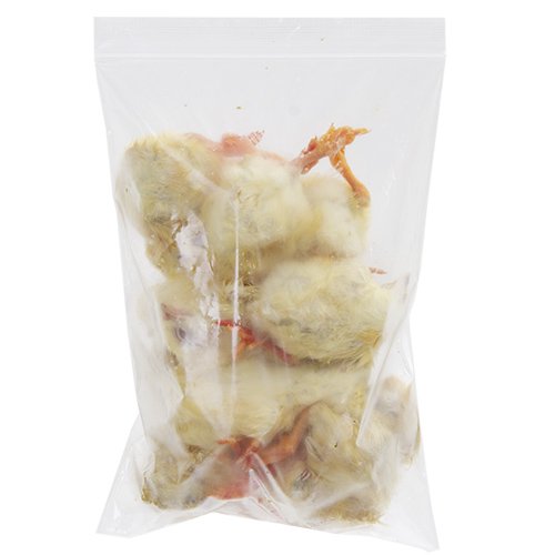 冷凍☆富城 ヒヨコ(10羽) 冷凍ヒヨコ 別途クール手数料 | チャーム