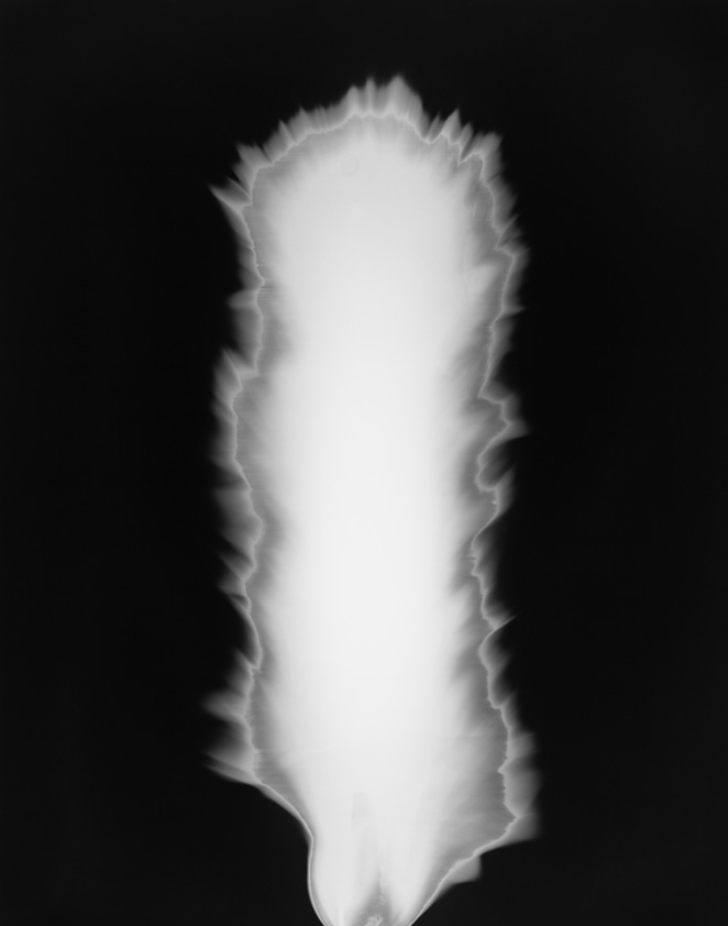 In Praise of Shadow-Japanese — Hiroshi Sugimoto