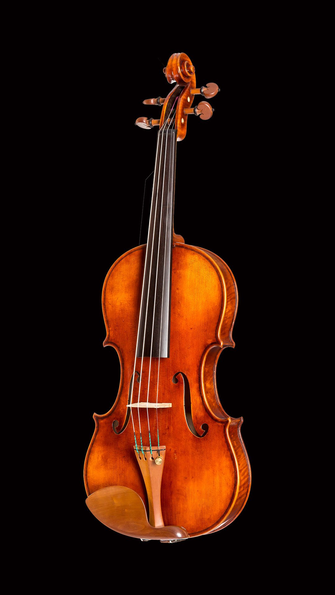 CS 2900G - Howard Core Select Violin — Vermont Violins