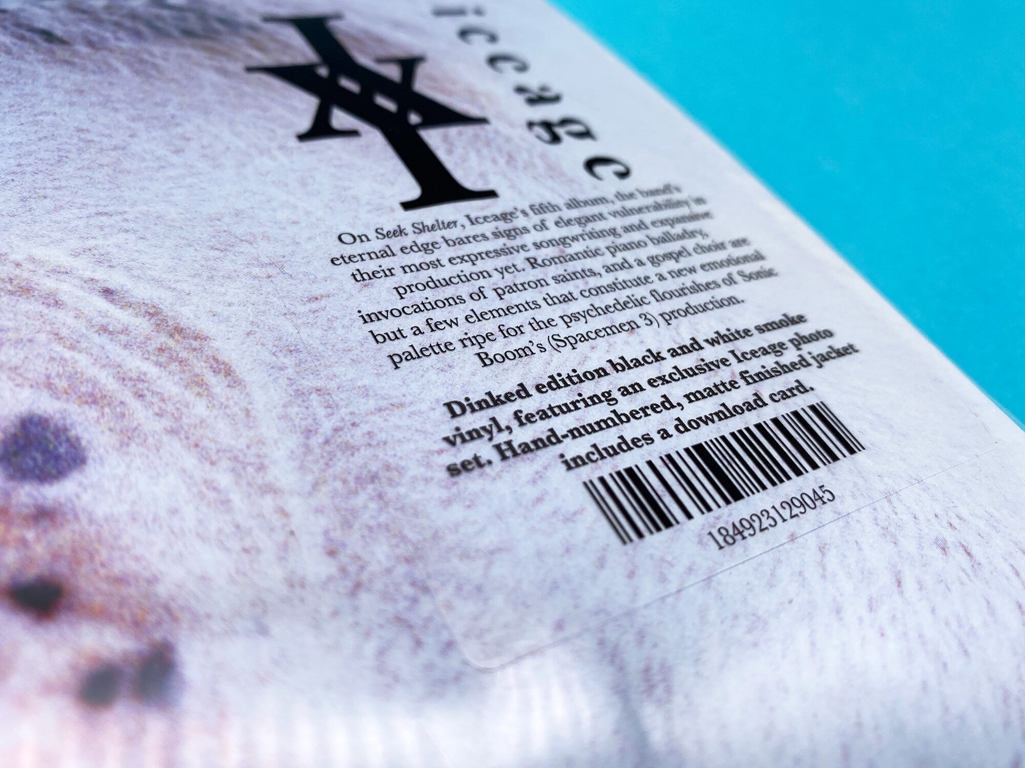 Iceage - Seek Shelter — Dinked