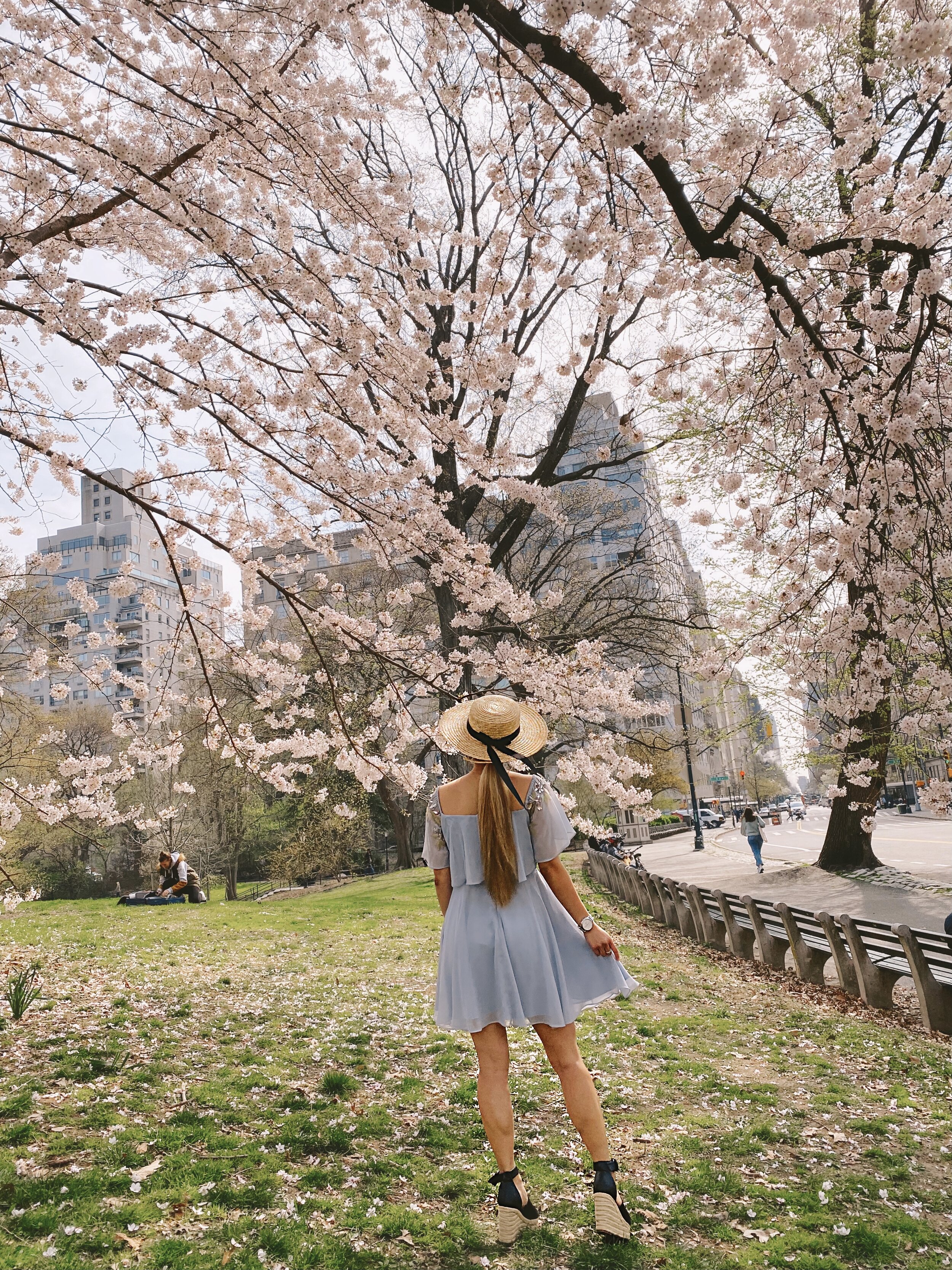 Best Cherry Blossom Photo Spots in Central Park — Gracefullee Made