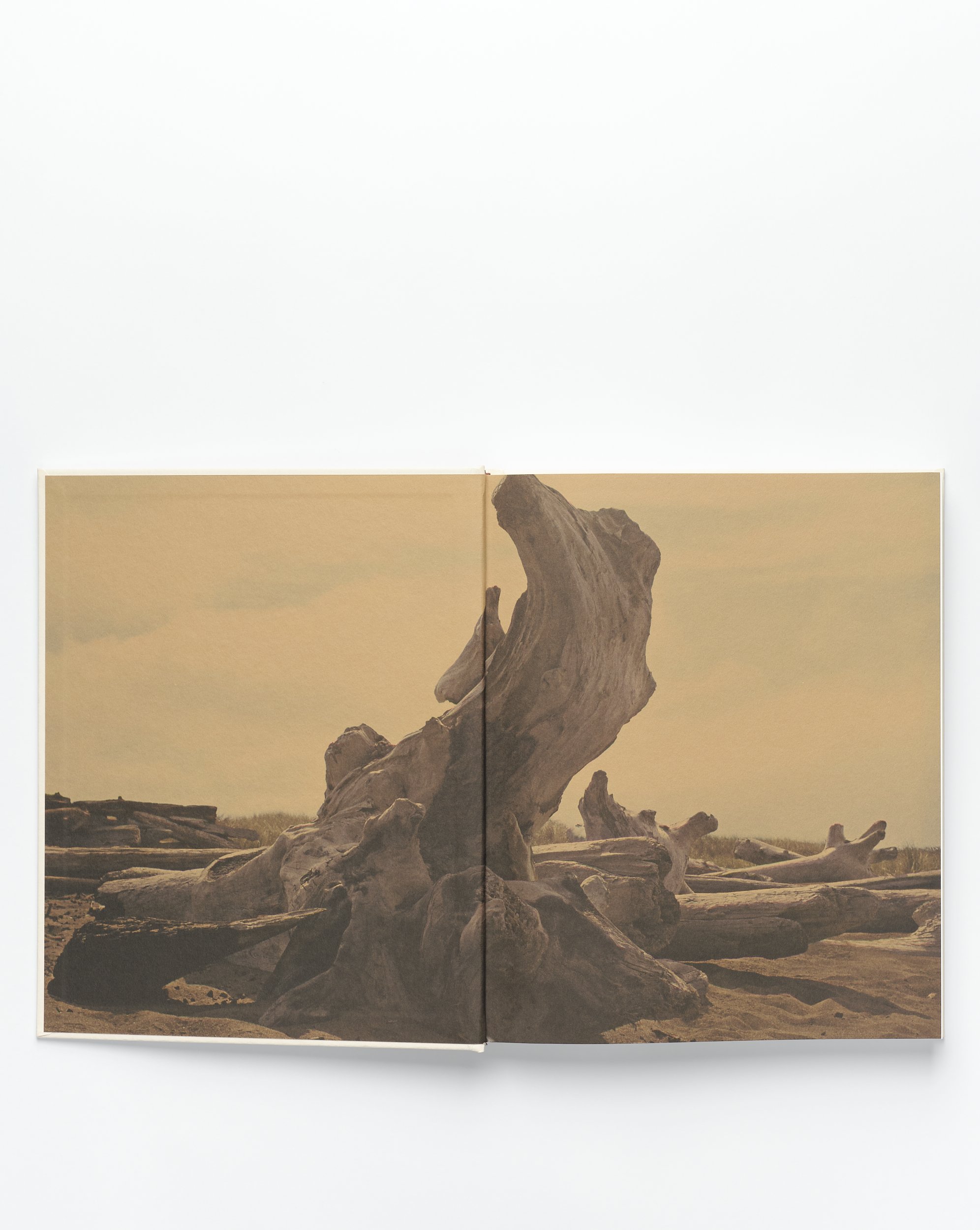 JB Blunk – Fourth Edition — Blunk Shop