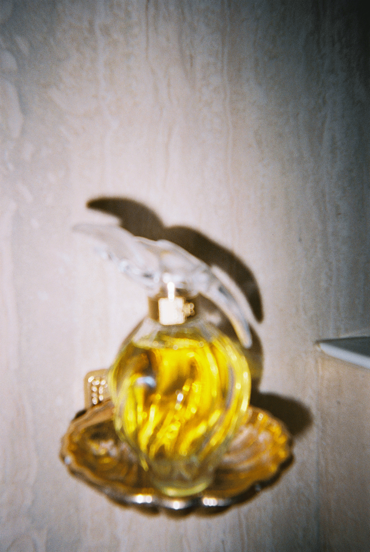 メゾンのアイコンである L'Air du Temps レール デュ タン by Nina