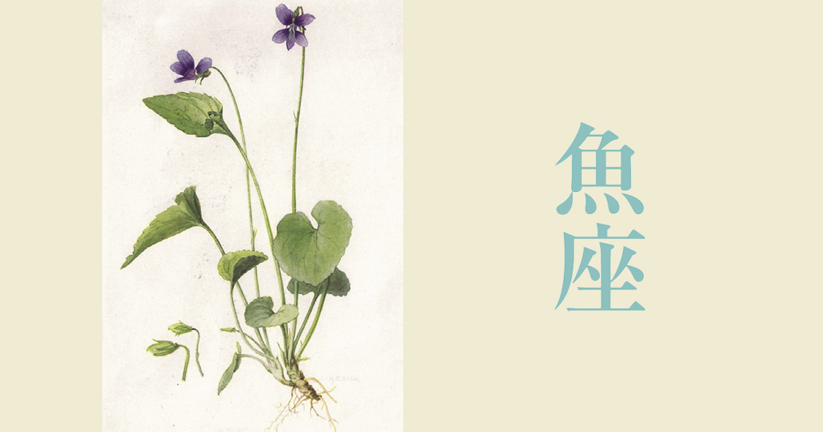 ハーブ占星術が説く「魚座」の運勢。心身の健康と幸運を招くハーブは？