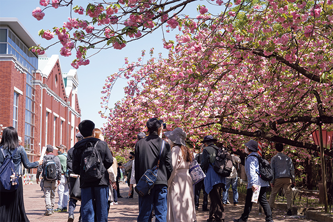18世紀に“三熊派”の絵師たちが見た桜を、現代の私たちも。「受け継がれ
