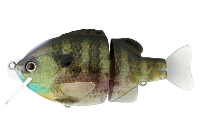 タイニー・ブルドーズの稚ギル感がMAX！ オリジナルの釣れる力が濃縮