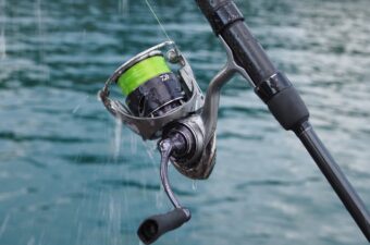 ワールドシャウラBG』全モデル解説！シリーズ最強ロッドのスペック