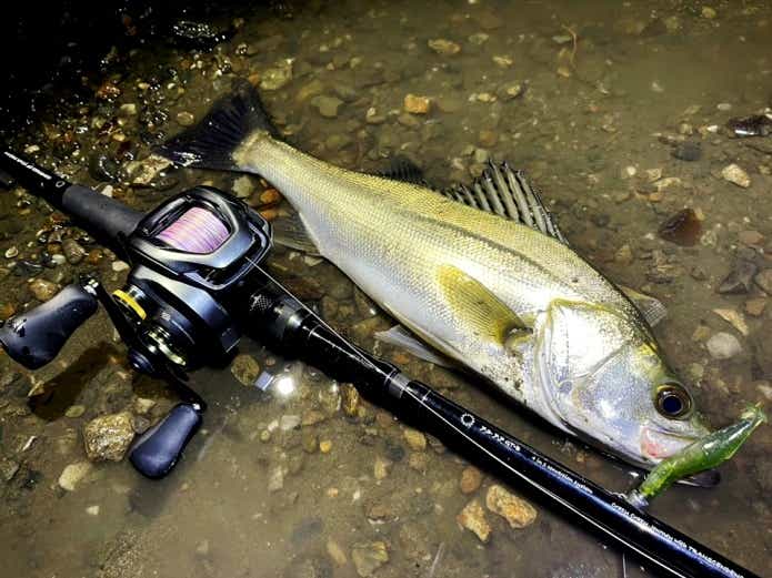 22クラドDC 200XGをインプレ！価格とサイズ感がイイんです | 【TSURI