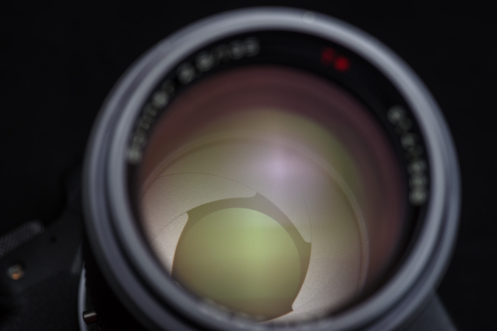 EOS R6で楽しむCONTAX Sonnar T* 2.8/135 AEJ | Imaging World