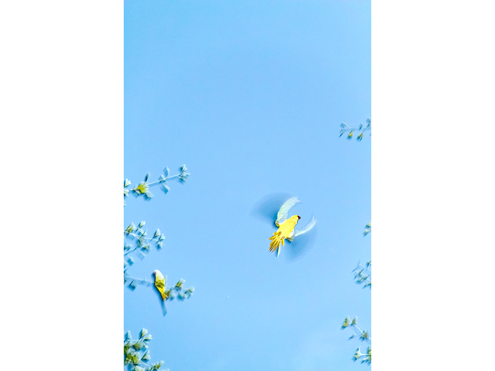 水谷吉法／Yoshinori Mizutani | IMAPEDIA | IMA ONLINE