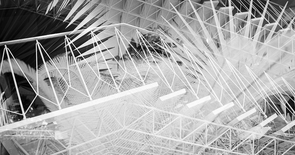 archive-201903006charlotte-