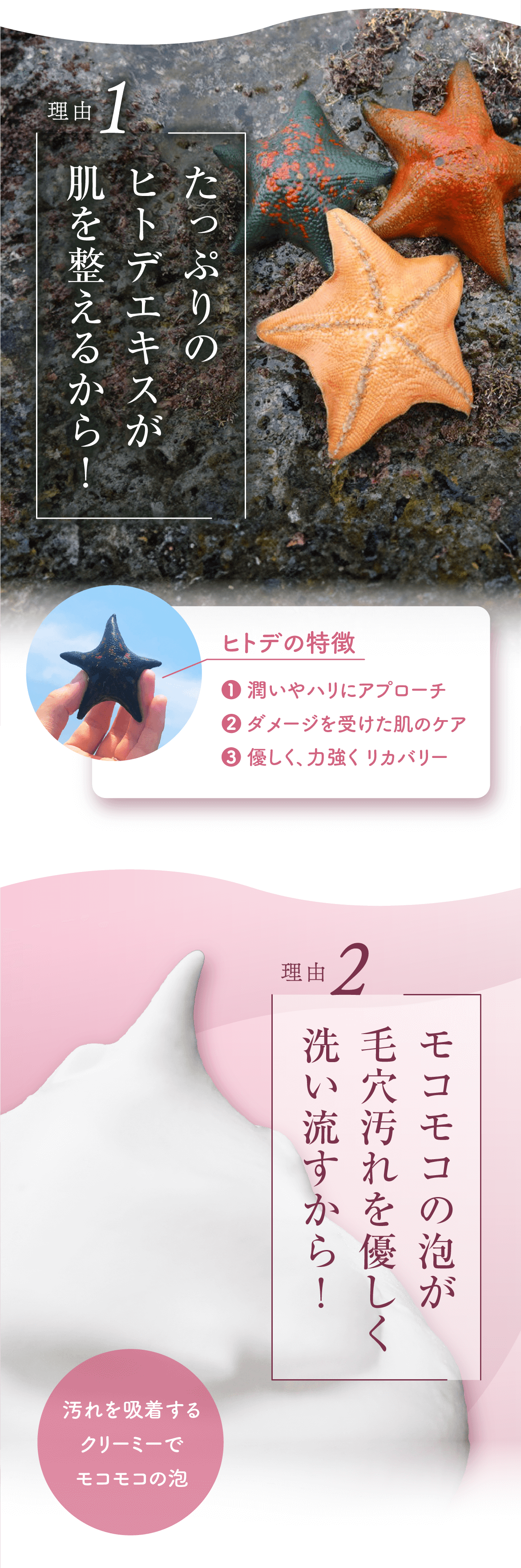 ディープクリアソープMOCO MOCO Star Ⅱ（モコモコスターツー）｜九州