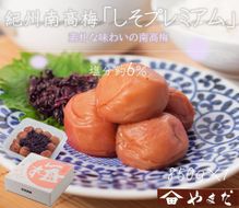 文化功労者 尾崎邑鵬 揮毫 漢字Tシャツ XLサイズ（15.夢