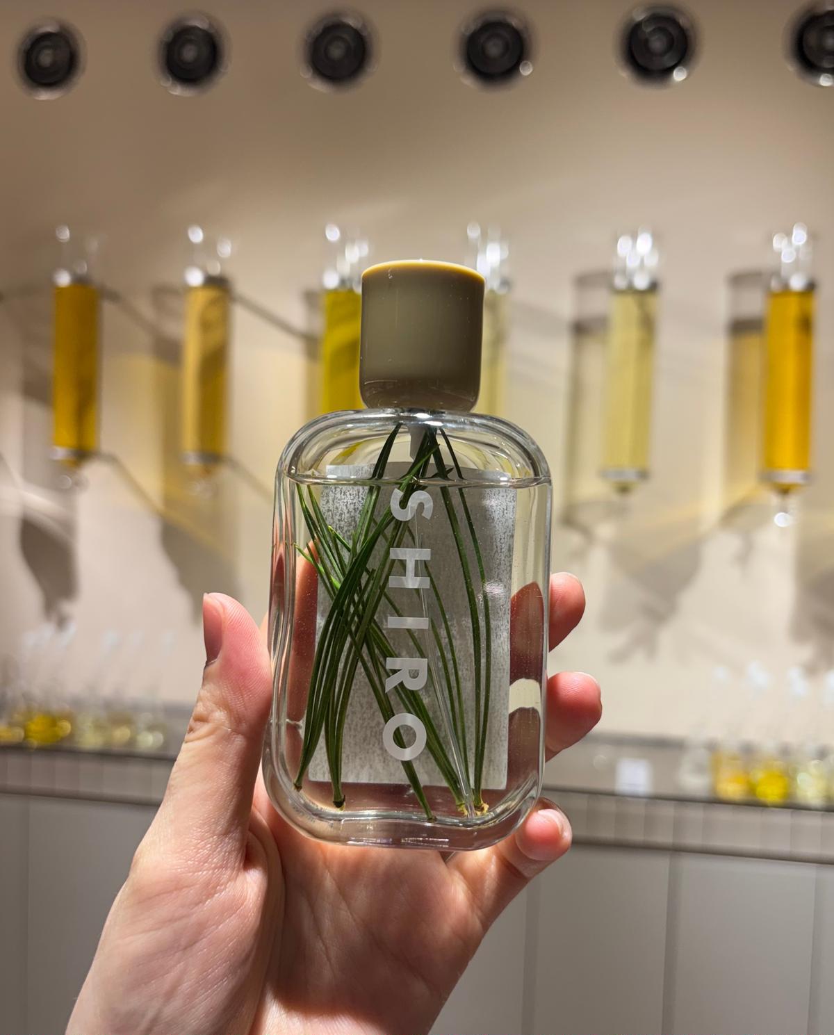 韓国・聖水】SHIROのオリジナル香水が作れる路面店が韓国・ソンスに