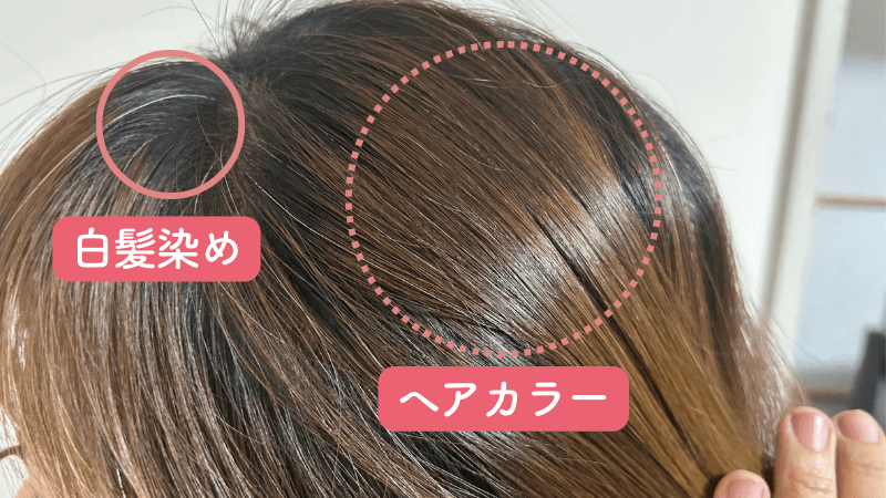 白髪染めとカラーの違い】ダメージや染まり方・カラーの種類についても