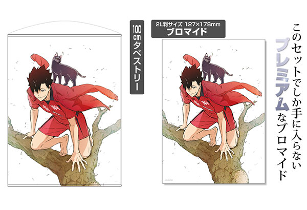 GEE！限定 ハイキュー！！ TO THE TOP [ブロマイドつき] 黒尾鉄朗