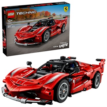 レゴ(LEGO) テクニック Ferrari FXX K 42212 5702017816357 | イオン
