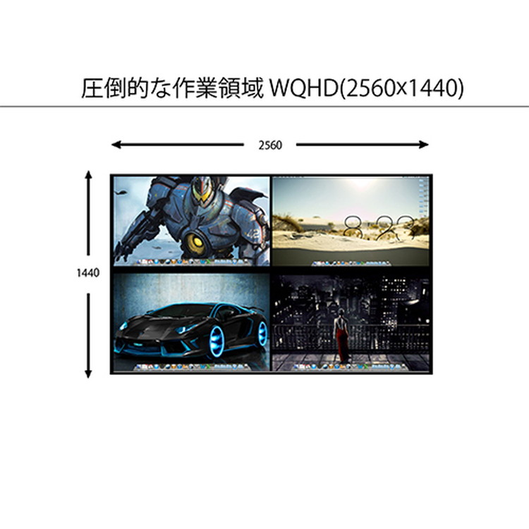 23.8型 WQHD 165Hz対応 ゲーミングモニター JAPANNEXT | イオン