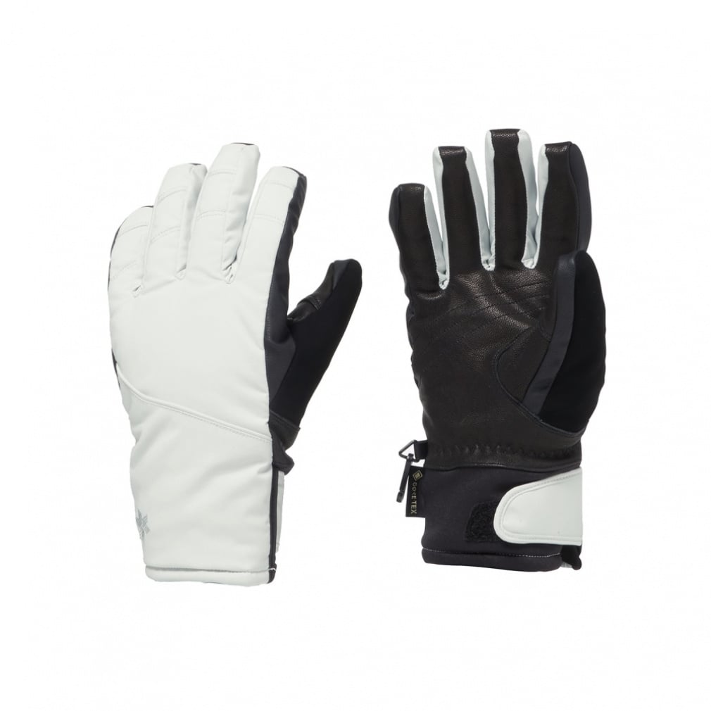 ゴールドウィン レディース スキー グローブ ウィメンズゴアテックス