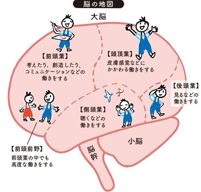 赤ちゃん時代は重要！最新の脳科学でわかった、0カ月から10歳の子ども