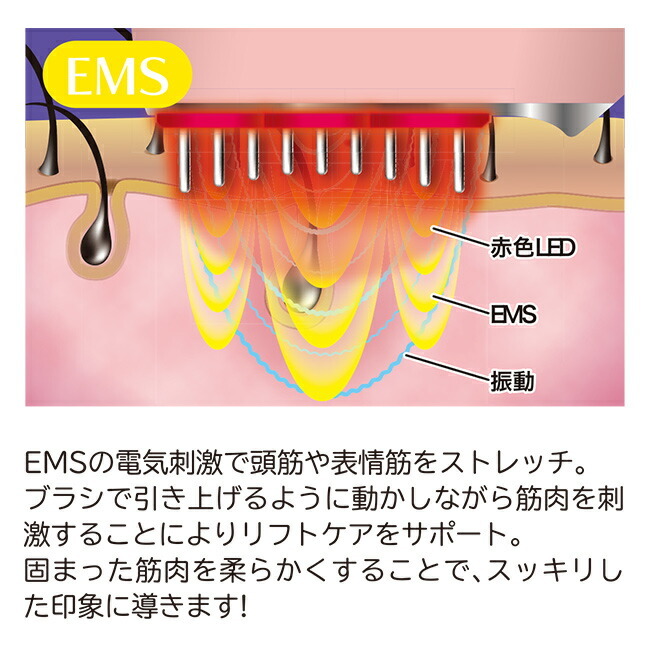 EMS＆RF リフトブラシボーテ[美顔器 EMS 筋肉 刺激 RF ラジオ波 美顔機