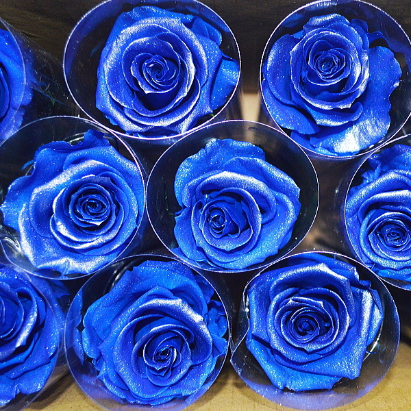 送料無料！プリザーブドフラワー☆青いバラは「永遠」！（ライトアップ