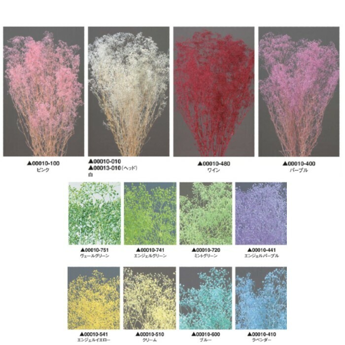 大地農園「ボトルインフラワー カスミソウ 白 1gずつ 円筒 円錐