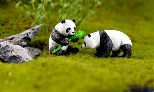 送料無料】竹パンダ 4タイプ4体 大サイズ ぱんだ 動物フィギュア