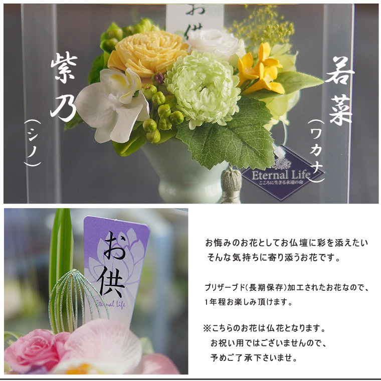 お供え プリザーブドフラワー【紫乃/若菜】クリアケース付き仏花 仏壇