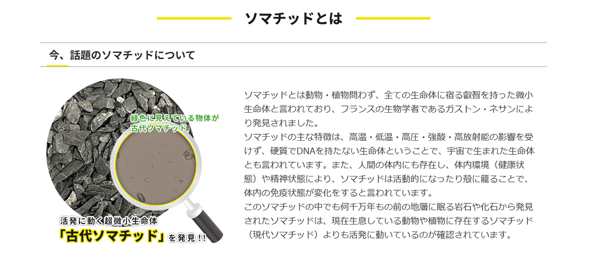 奇跡の鉱石 ソマチ ソマチッド を豊富に含んだ鉱石 粒 国産 古代