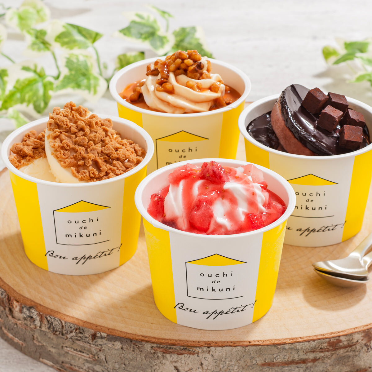 三國清三監修 北海道 リッチアイス ギフトセット 4種計10個 カップ