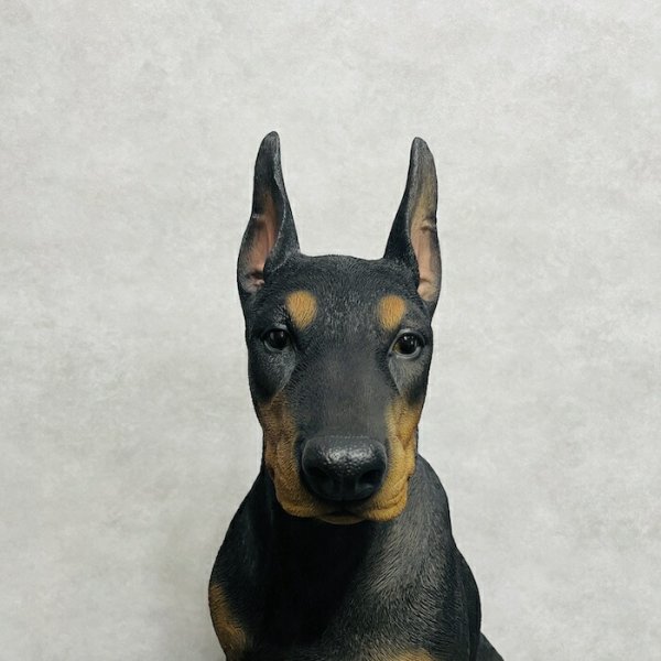 置物 お座りドーベルマン 特大 犬グッズ 高さ約61cm woobia ウービア